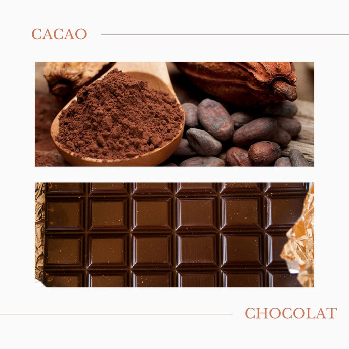 Cacao VS Choco 🍫